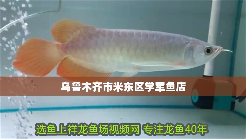 烏魯木齊市米東區(qū)學(xué)軍魚店