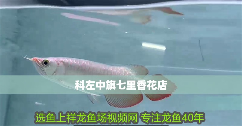 <strong><mark>科左中旗</mark></strong>七里香花店