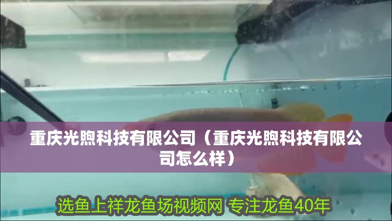 重慶光煦科技有限公司（重慶光煦科技有限公司怎么樣）