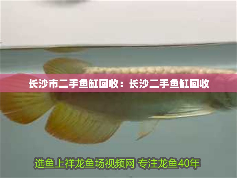 長沙市二手魚缸回收：長沙二手魚缸回收