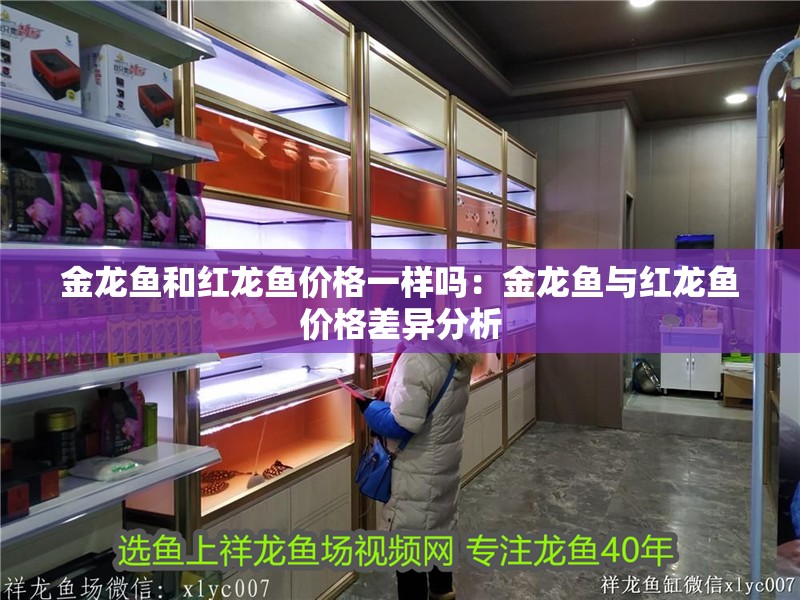 金龍魚和紅龍魚價格一樣嗎：金龍魚與紅龍魚價格差異分析