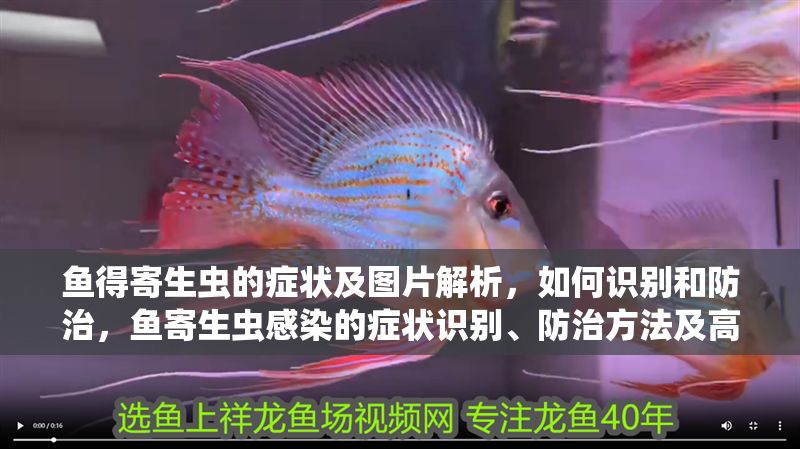 魚得寄生蟲的癥狀及圖片解析，如何識別和防治，魚寄生蟲感染的癥狀識別、防治方法及高清圖片解析