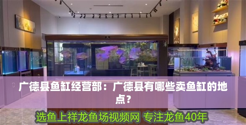 廣德縣魚缸經營部：廣德縣有哪些賣魚缸的地點？