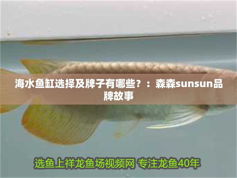 海水魚缸選擇及牌子有哪些？：森森sunsun品牌故事