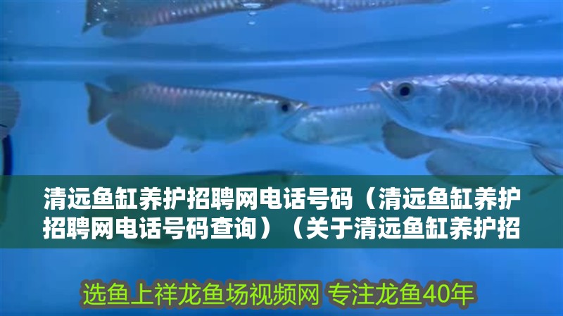龍魚干蝦有營養嗎 清遠魚缸養護招聘網電話號碼(清遠魚缸養護招聘網電話號碼查詢)(關于清遠魚缸養護招聘網電話號碼) 魚缸百科 清遠魚缸養護招聘網電話號碼(清遠魚缸養護招聘網電話號碼查詢)(關于清遠魚缸養護招聘網電話號碼) 清遠魚缸養護招聘網電話號碼(清遠魚缸養護招聘網電話號碼查詢)(關于清遠魚缸養護招聘網電話號碼) 魚缸百科