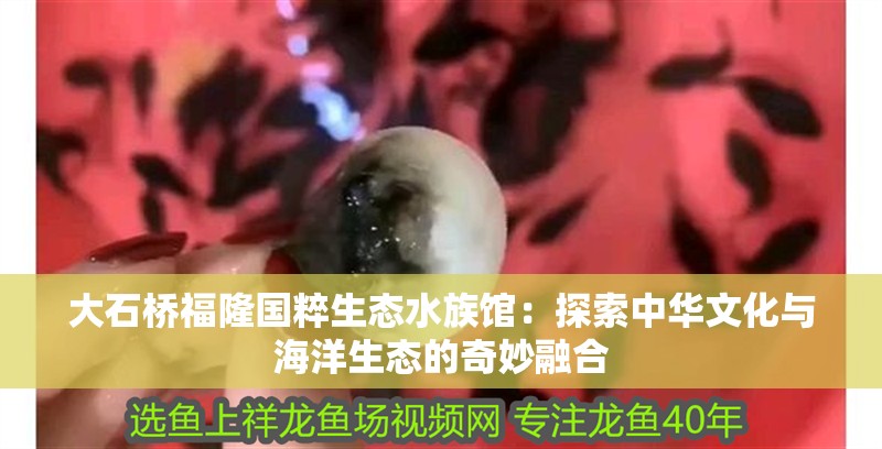 大石橋福隆國(guó)粹生態(tài)水族館：探索中華文化與海洋生態(tài)的奇妙融合