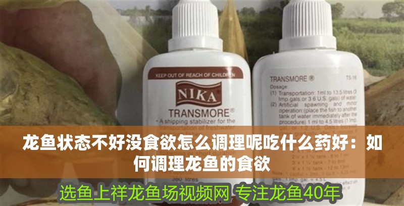 龍魚狀態不好沒食欲怎么調理呢吃什么藥好：如何調理龍魚的食欲