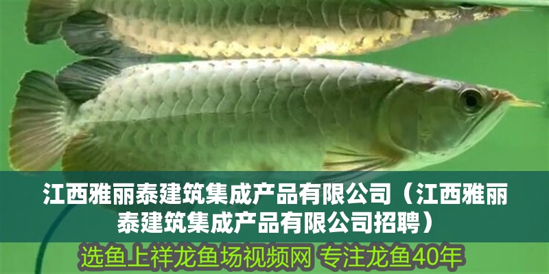 江西雅麗泰建筑集成產品有限公司（江西雅麗泰建筑集成產品有限公司招聘）