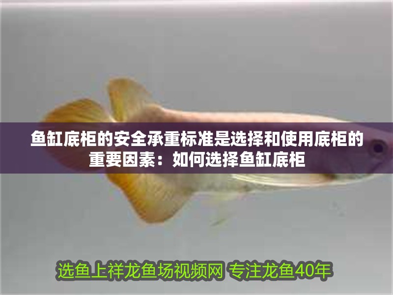 魚缸底柜的安全承重標(biāo)準(zhǔn)是選擇和使用底柜的重要因素：如何選擇魚缸底柜