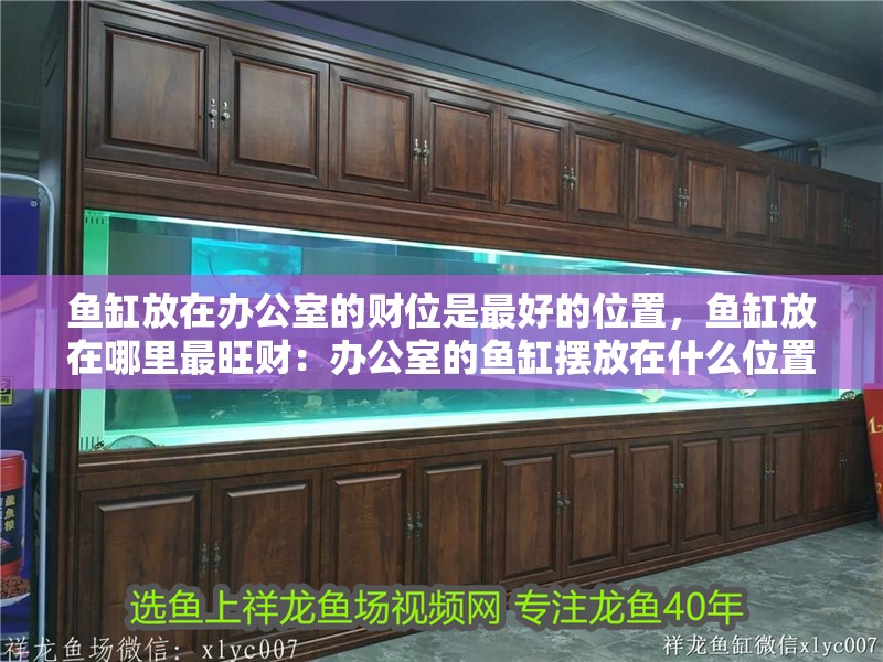 魚缸放在辦公室的財位是最好的位置，魚缸放在哪里最旺財：辦公室的魚缸擺放在什么位置的風水好