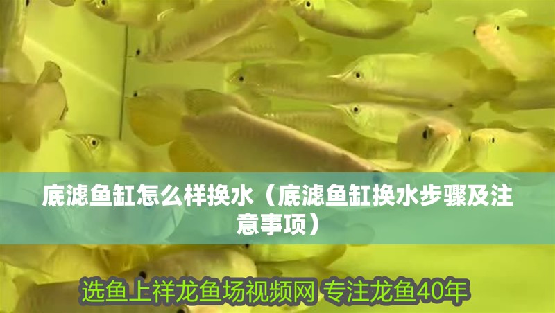 底濾魚缸怎么樣換水（底濾魚缸換水步驟及注意事項）