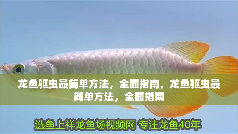 龍魚驅蟲最簡單方法，全面指南，龍魚驅蟲最簡單方法，全面指南 龍魚驅蟲最簡單方法，全面指南，龍魚驅蟲最簡單方法，全面指南 龍魚常見疾病 第1張