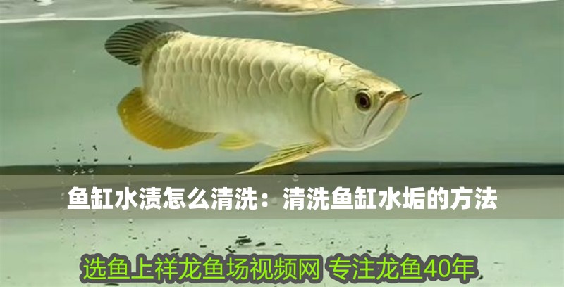 魚缸水漬怎么清洗：清洗魚缸水垢的方法