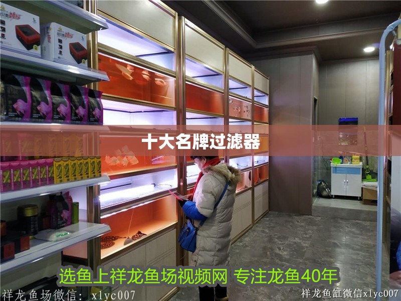 十<strong><mark>大名</mark></strong>牌過濾器