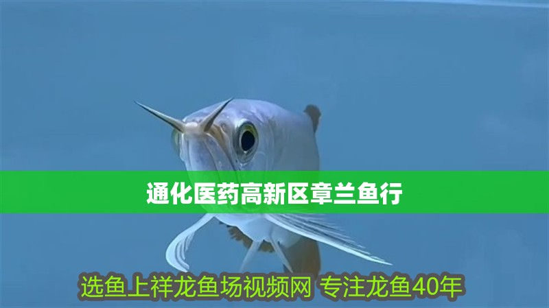<strong><mark>通化</mark></strong>醫藥高新區章蘭魚行