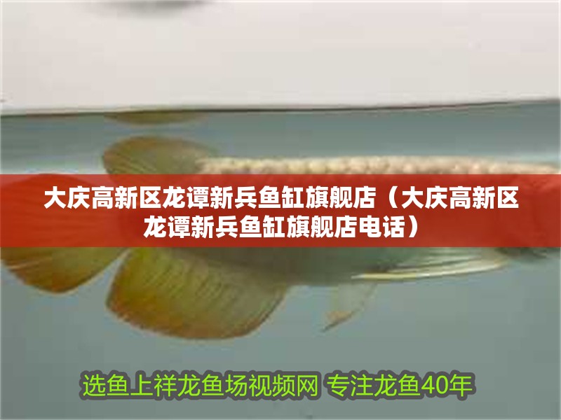大慶高新區龍譚新兵魚缸旗艦店（大慶高新區龍譚新兵魚缸旗艦店電話）