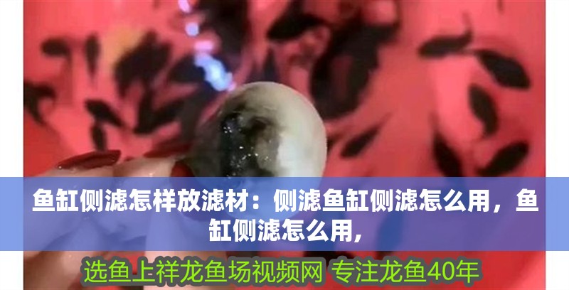 魚缸側濾怎樣放濾材：側濾魚缸側濾怎么用，魚缸側濾怎么用,