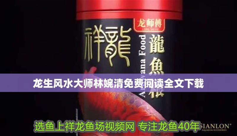 龍生風(fēng)水大師林婉清免費(fèi)閱讀全文下載