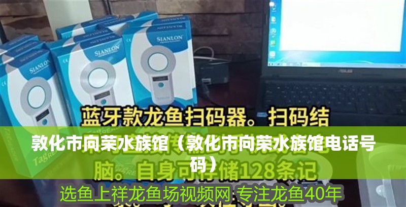 敦化市向榮水族館（敦化市向榮水族館電話號碼）