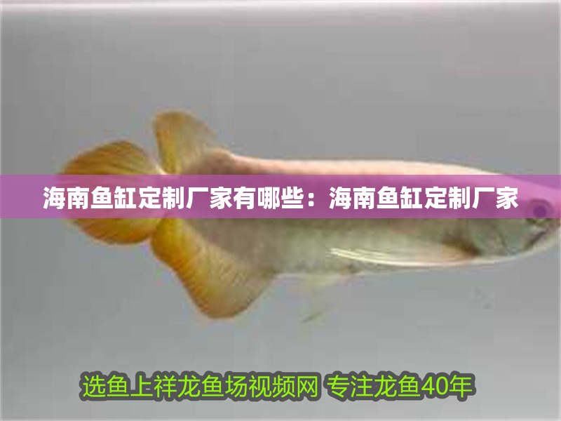 <strong><mark>海南</mark></strong>魚缸定制廠家有哪些：<strong><mark>海南</mark></strong>魚缸定制廠家