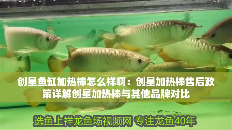 創星魚缸加熱棒怎么樣啊：創星加熱棒售后政策詳解創星加熱棒與其他品牌對比
