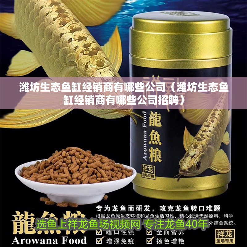 濰坊生態魚缸經銷商有哪些公司（濰坊生態魚缸經銷商有哪些公司招聘）
