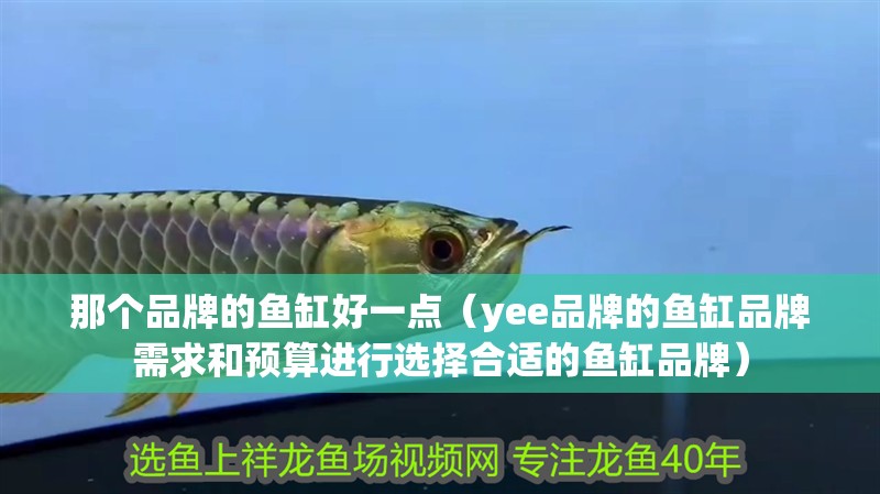 那個品牌的魚缸好一點（yee品牌的魚缸品牌需求和預算進行選擇合適的魚缸品牌）