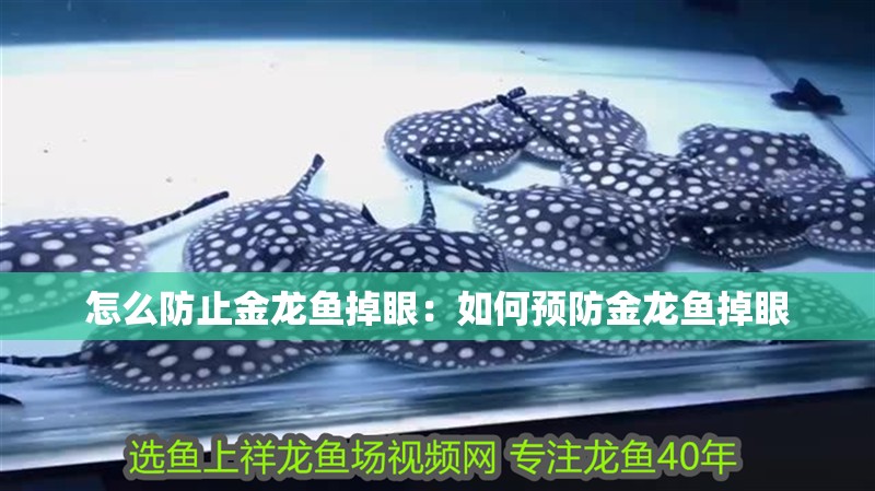怎么防止金龍魚掉眼：如何預防金龍魚掉眼