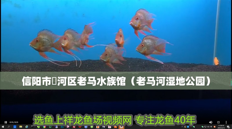 信陽(yáng)市浉河區(qū)老馬水族館（老馬河濕地公園）