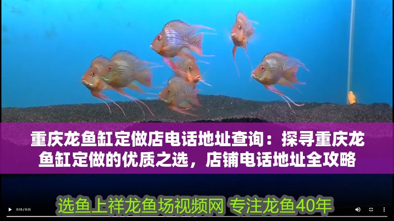 重慶龍魚缸定做店電話地址查詢：探尋重慶龍魚缸定做的優質之選，店鋪電話地址全攻略