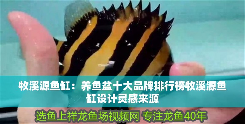 牧溪源魚缸：養魚盆十大品牌排行榜牧溪源魚缸設計靈感來源
