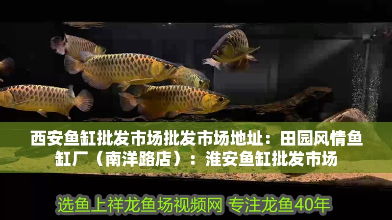 西安魚(yú)缸批發(fā)市場(chǎng)批發(fā)市場(chǎng)地址：田園風(fēng)情魚(yú)缸廠（南洋路店）：淮安魚(yú)缸批發(fā)市場(chǎng)