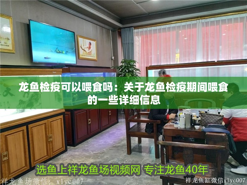 龍魚檢疫可以喂食嗎：關(guān)于龍魚檢疫期間喂食的一些詳細(xì)信息