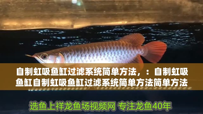 自制虹吸魚缸過濾系統簡單方法，：自制虹吸魚缸自制虹吸魚缸過濾系統簡單方法簡單方法