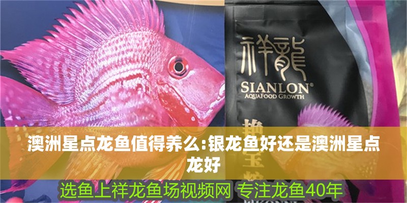 澳洲星點龍魚值得養么:銀龍魚好還是澳洲星點龍好