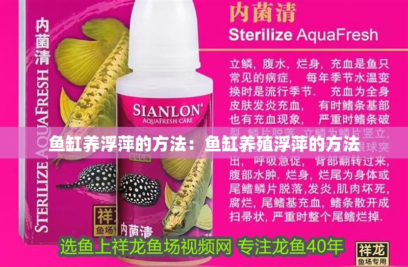 魚缸養浮萍的方法：魚缸養殖浮萍的方法