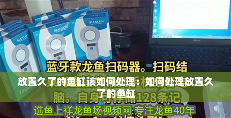 放置久了的魚缸該如何處理：如何處理放置久了的魚缸