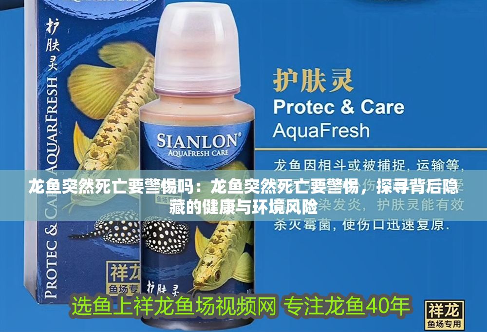 龍魚突然死亡要警惕嗎：龍魚突然死亡要警惕，探尋背后隱藏的健康與環境風險