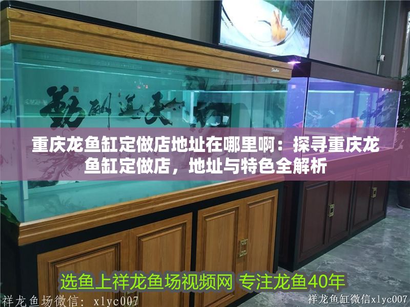 重慶龍魚缸定做店地址在哪里啊：探尋重慶龍魚缸定做店，地址與特色全解析