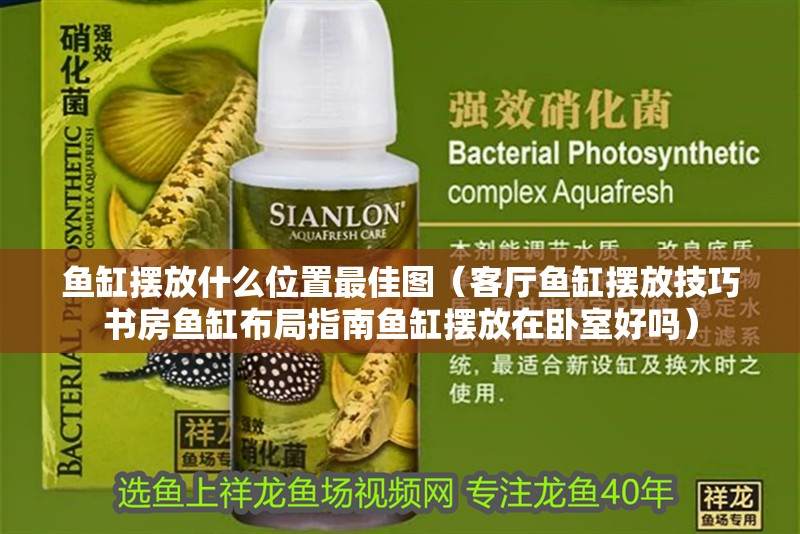 魚缸擺放什么位置最佳圖（客廳魚缸擺放技巧書房魚缸布局指南魚缸擺放在臥室好嗎）