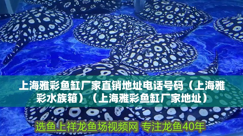 上海雅彩魚(yú)缸廠家直銷地址電話號(hào)碼（上海雅彩水族箱）（上海雅彩魚(yú)缸廠家地址）