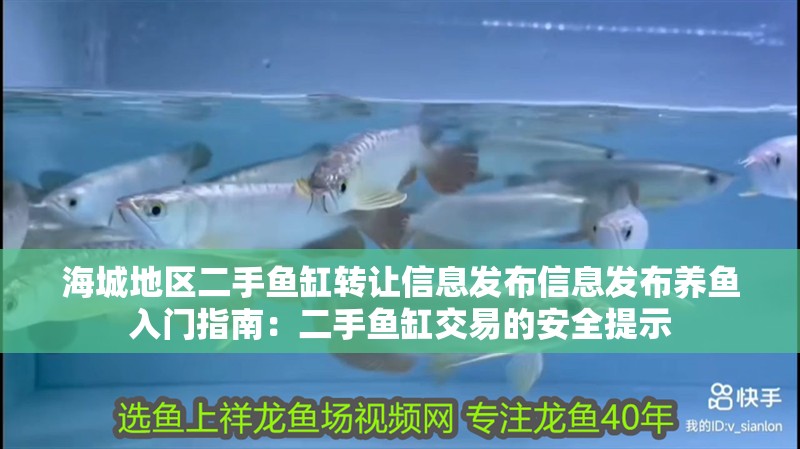 海城地區二手魚缸轉讓信息發布信息發布養魚入門指南：二手魚缸交易的安全提示