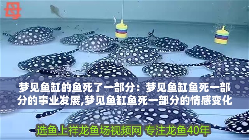 我的虎魚真菌感染了要怎么處理 夢見魚缸的魚死了一部分:夢見魚缸魚死一部分的事業發展,夢見魚缸魚死一部分的情感變化 魚缸百科 夢見魚缸的魚死了一部分:夢見魚缸魚死一部分的事業發展,夢見魚缸魚死一部分的情感變化 夢見魚缸的魚死了一部分:夢見魚缸魚死一部分的事業發展,夢見魚缸魚死一部分的情感變化 魚缸百科