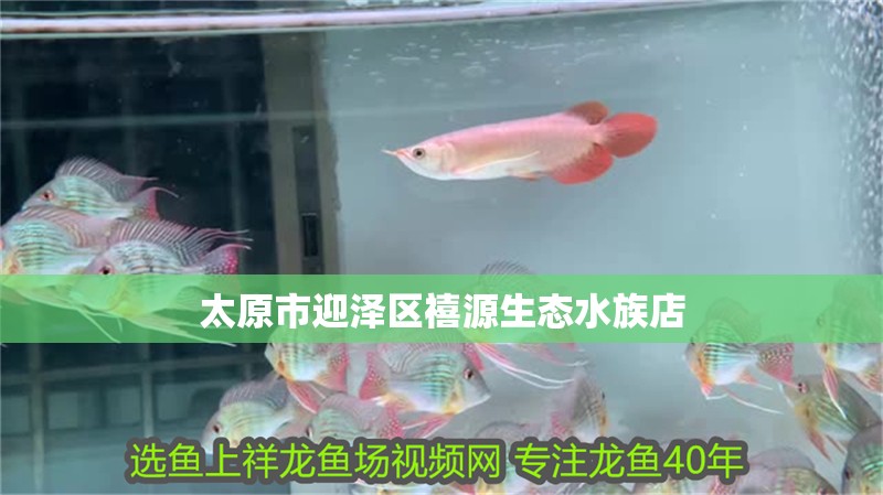 太原市迎澤區(qū)禧源生態(tài)水族店