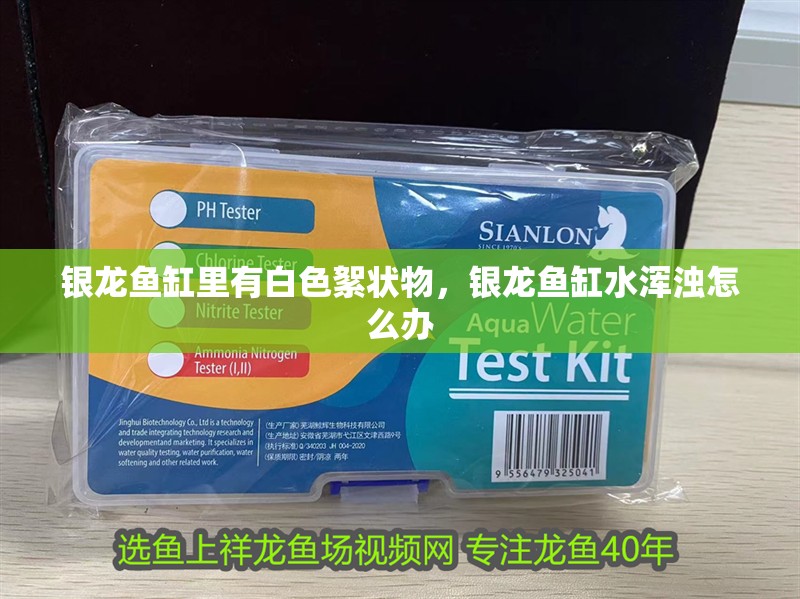銀龍魚缸里有白色絮狀物，銀龍魚缸水渾濁怎么辦