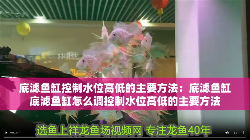 紅龍魚用黃燈烤有用嗎 底濾魚缸控制水位高低的主要方法:底濾魚缸底濾魚缸怎么調控制水位高低的主要方法 魚缸百科 底濾魚缸控制水位高低的主要方法:底濾魚缸底濾魚缸怎么調控制水位高低的主要方法 底濾魚缸控制水位高低的主要方法:底濾魚缸底濾魚缸怎么調控制水位高低的主要方法 魚缸百科