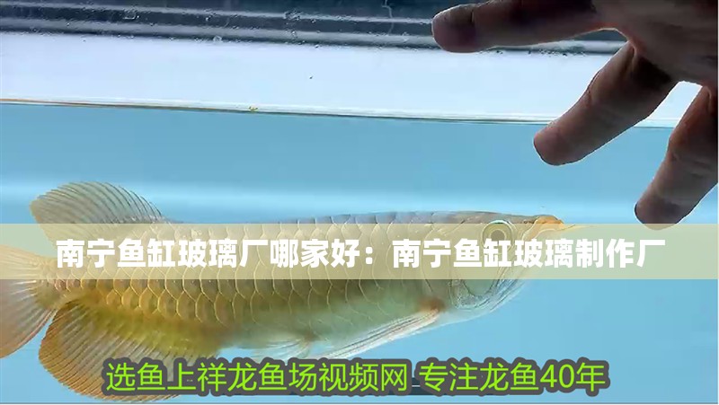 南寧魚缸玻璃廠哪家好：南寧魚缸玻璃制作廠