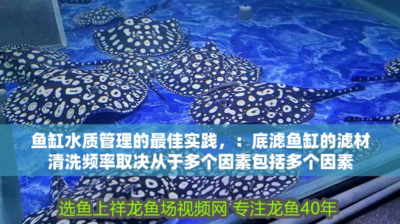 魚缸水質管理的最佳實踐，：底濾魚缸的濾材清洗頻率取決從于多個因素包括多個因素