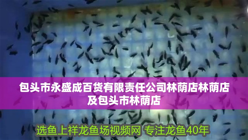 包頭市永盛成百貨有限責(zé)任公司林蔭店林蔭店及包頭市林蔭店