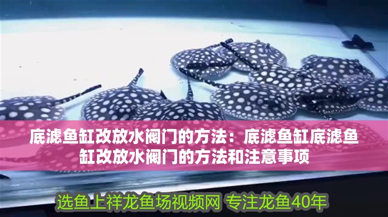 底濾魚缸改放水閥門的方法：底濾魚缸底濾魚缸改放水閥門的方法和注意事項
